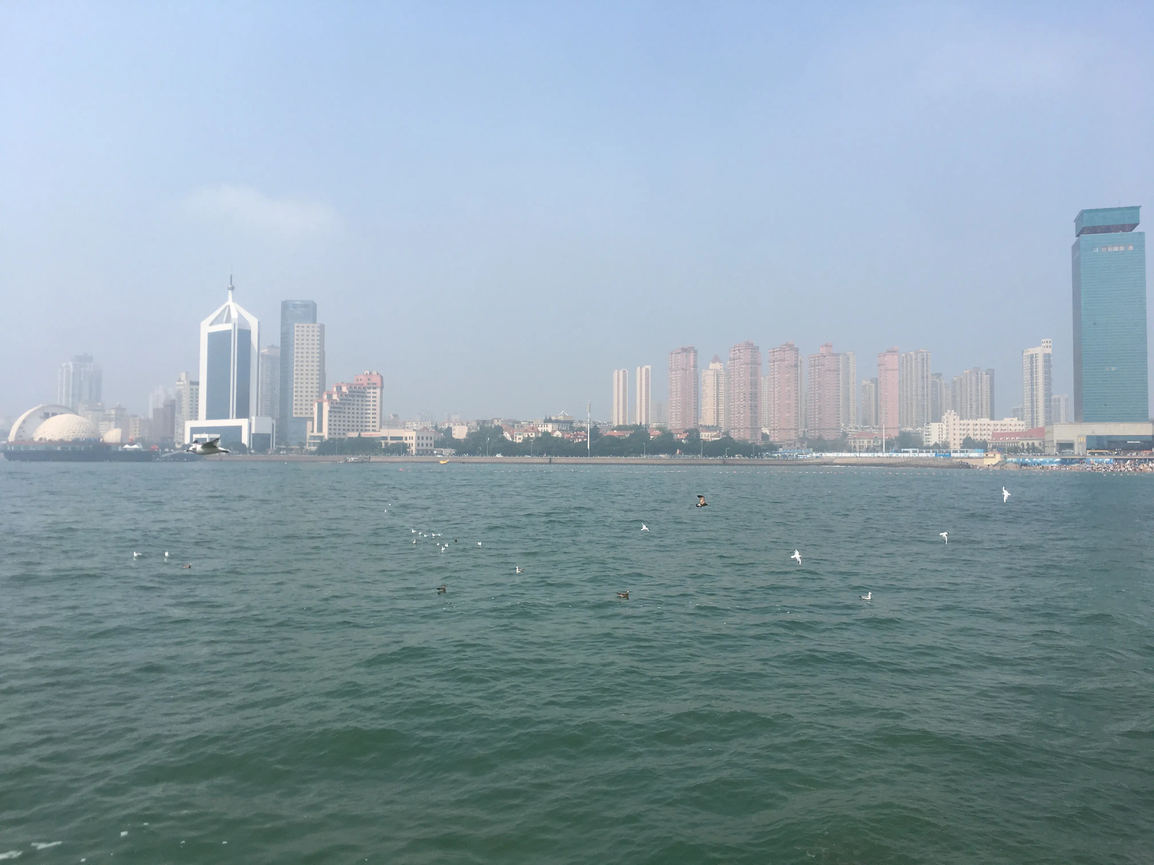 2025_08_29_10_31_58_IMG_4852