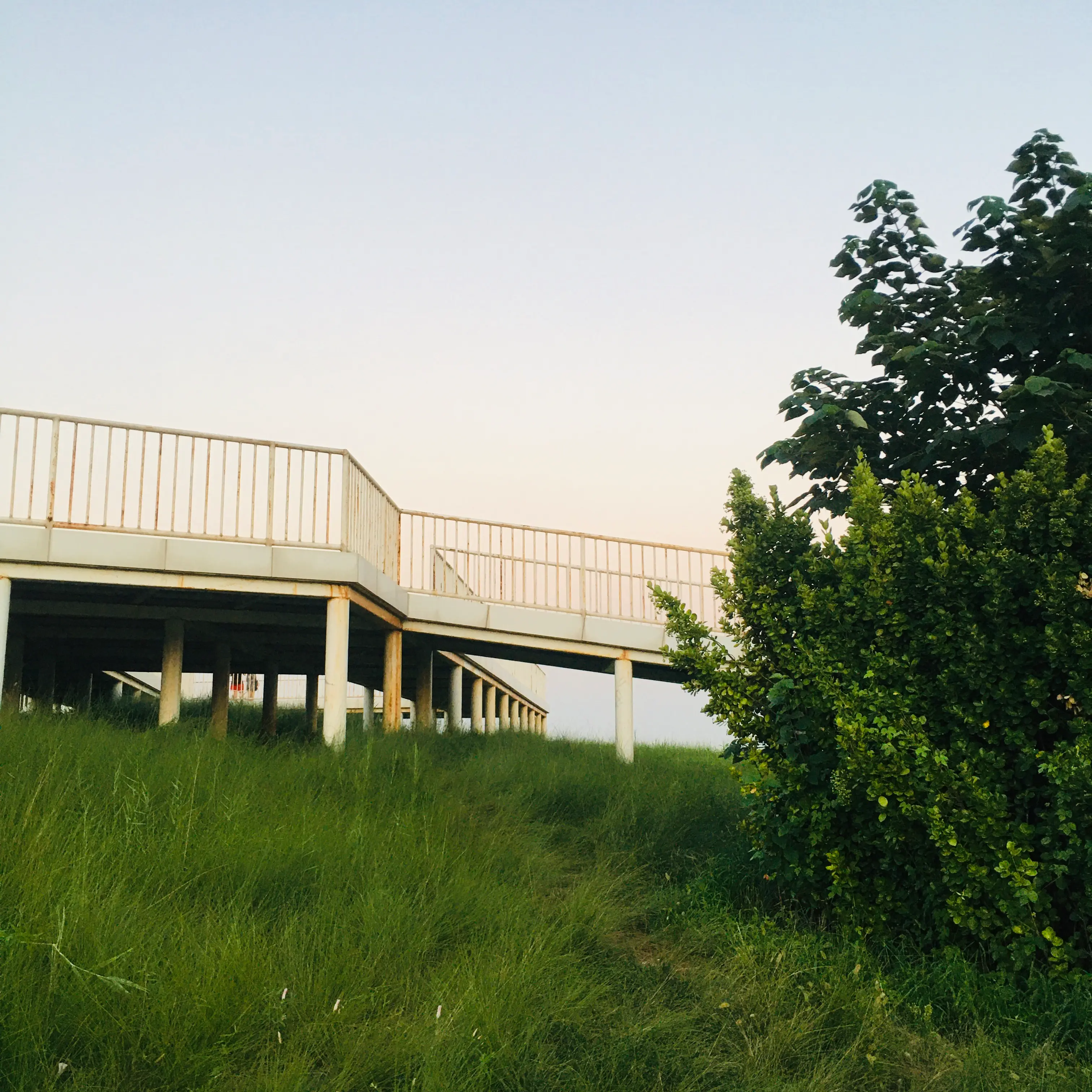 2025_09_01_18_27_43_IMG_5408