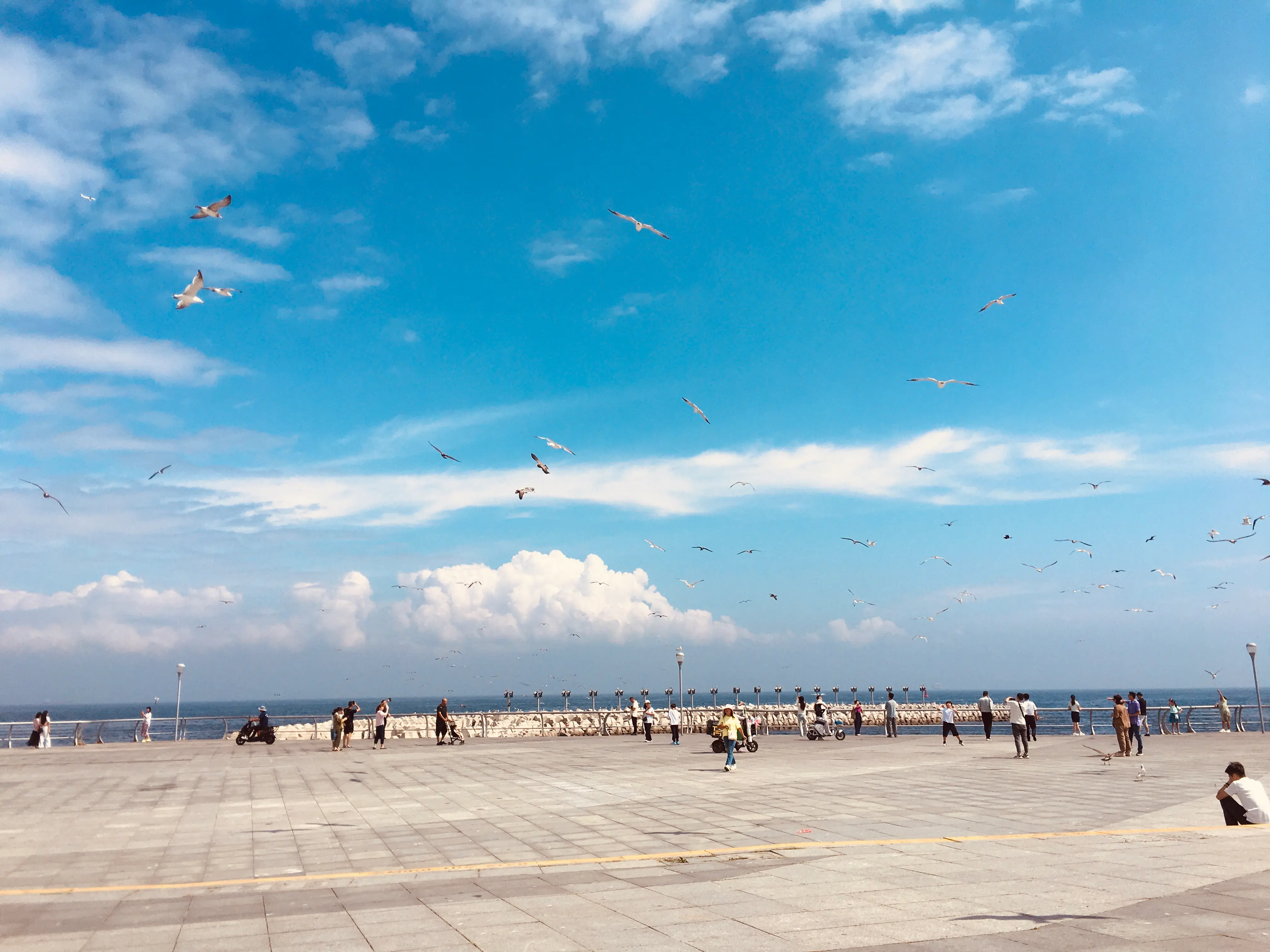 2025_09_05_11_18_59_IMG_5776